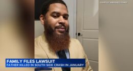 Chicago crash: Family files lawsuit against driver after Haroon Arrasheed killed in Calumet Heights crash on Stony Island Avenue
