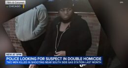 Chicago crime: Chicago police release image of suspect after 2 killed in Chatham shooting on Calumet Avenue
