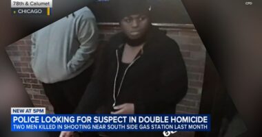 Chicago crime: Chicago police release image of suspect after 2 killed in Chatham shooting on Calumet Avenue