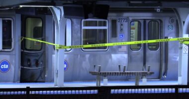 Chicago crime: New task force aggressively prosecuting CTA train, bus crimes: Cook County State's Attorney Eileen O'Neill Burke
