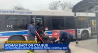 Chicago crime: Tamara Powell, 37, speaks out after being shot while riding CTA bus at 39th Street, King Drive in Bronzeville
