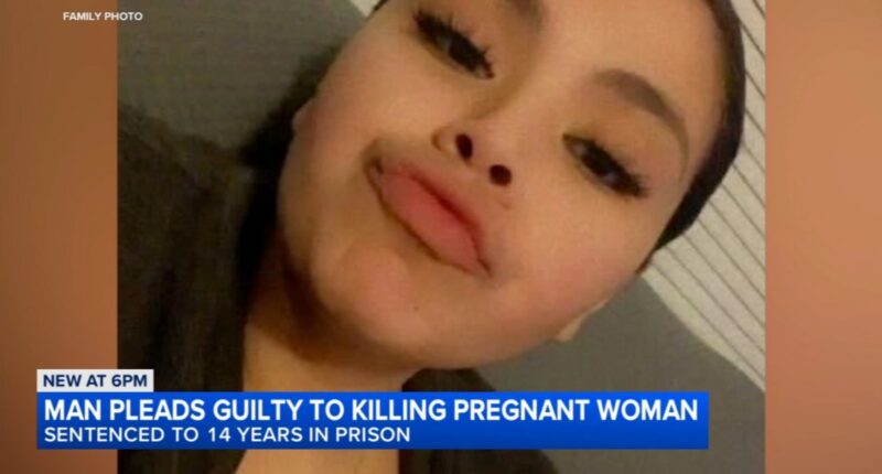 Chicago shooting: Dontrell Anderson pleads guilty, sentenced in death of Chatham regnant woman Itzel Camarena in 2024