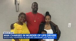 Chicago shooting: Xavier Wilson charged after UPS driver Michael Hunter shot to death on Hermitage Avenue in Auburn Gresham: CPD