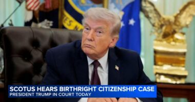 Chicago woman says children given great opportunity through birthright citizenship, as Supreme Court considers Trump case