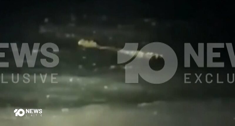 Chilling video of crocodile after camper attacked on Aussie beach