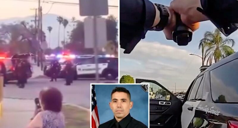 Chilling video reveals moment hero cop is gunned down