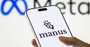 China blocks Meta's acquisition of AI startup Manus