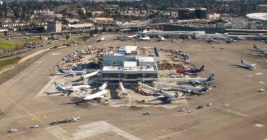 China warns against travelling to US after scholars accosted