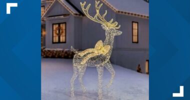 Christmas decoration sold through Sam's Club poses burn risk, 2,460 units recalled