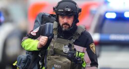 City’s BLM-era mental health push puts cops in danger after sword-wielding suspect stabs officer: police