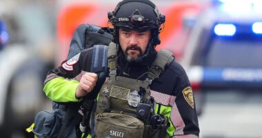 City’s BLM-era mental health push puts cops in danger after sword-wielding suspect stabs officer: police