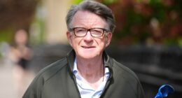 Civil service launches 'exciting' job ad for 10 new vetting officers