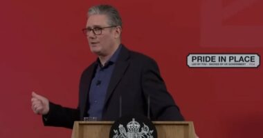 Clip of PM insisting Mandy was subject to 'security vetting' emerges