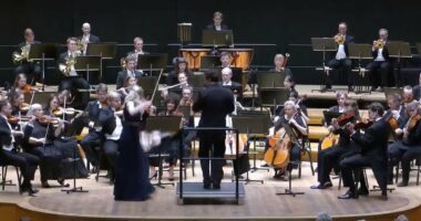 Conductor sends £1million violin crashing to the floor mid-concert