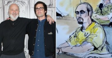 Confused Nick Reiner casts haunting figure as he appears in court