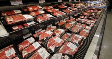 Consumer Prices Reportedly Rose in March Over Soaring Energy Costs, but It's Mostly Good News