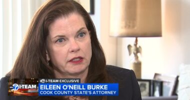 Cook County State's Attorney Eileen O'Neill Burke looks back at her first 15 months in office