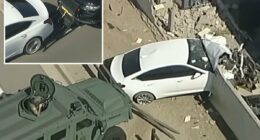 Cops deploy Batman-like gadget during chase before suspect shoots himself