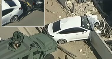 Cops deploy Batman-like gadget during chase before suspect shoots himself