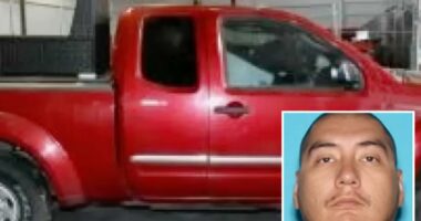 Cops make most disgusting discovery imaginable in back of truck