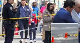 Cops nab maniac who shot NYC shelter security guard after week on the lam: cops