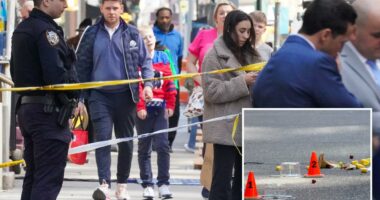 Cops nab maniac who shot NYC shelter security guard after week on the lam: cops