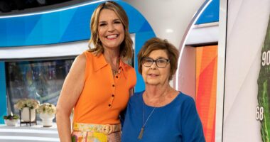 Cops probing Nancy Guthrie's disappearance worked with reality show