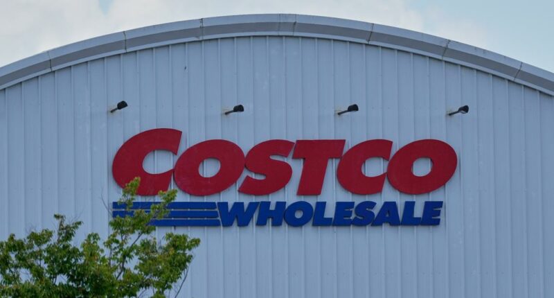 Costco tests new 'automated pay stations' to ease checkout lines