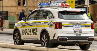 Couple charged with alleged bestiality, child exploitation material offences