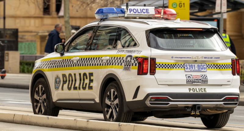 Couple charged with alleged bestiality, child exploitation material offences