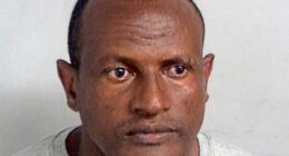 Criminal was on the run for 579 DAYS after being wrongly freed