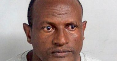 Criminal was on the run for 579 DAYS after being wrongly freed