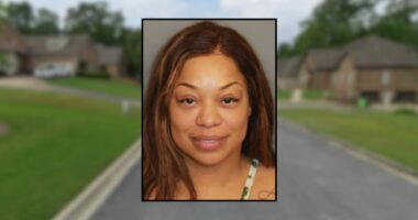 'Crying for help': Mother sprayed young children with bear spray in their eyes and mouth because she said they were being unruly, cops say