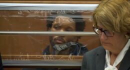 D4vd's motive for allegedly murdering 14-year-old girl revealed