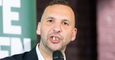 DANIEL HANNAN: Zack Polanski's talk of building a society that 'doesn't include' Right-wing people sends a shiver down the spine