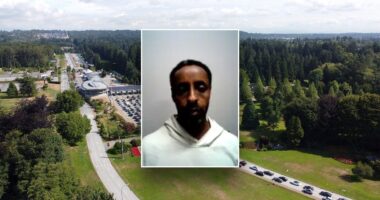 DHS blames ‘weak’ Biden border policies after piracy-linked Somali illegal immigrant nabbed at northern border