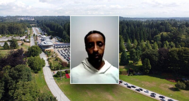 DHS blames ‘weak’ Biden border policies after piracy-linked Somali illegal immigrant nabbed at northern border