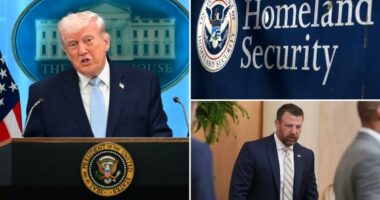 DHS orders furloughed staff back to work as government shutdown drags on