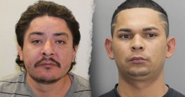 DHS slams ‘insane’ 5-year plea deal for illegal immigrants who admitted fatal stabbing in Virginia