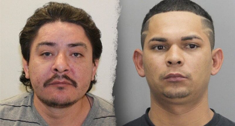 DHS slams ‘insane’ 5-year plea deal for illegal immigrants who admitted fatal stabbing in Virginia