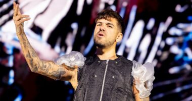 DJ Anyma apologises to fans after being forced to cancel Coachella set