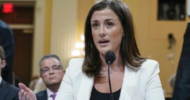 DOJ targets ex-aide Cassidy Hutchinson over Jan. 6 claims