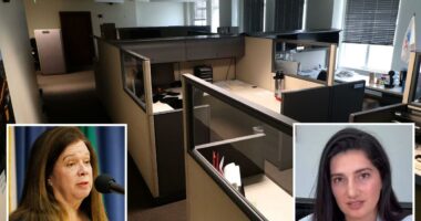 DSA-backed city attorney challenger Marissa Roy pushes two-day-a-month office rule