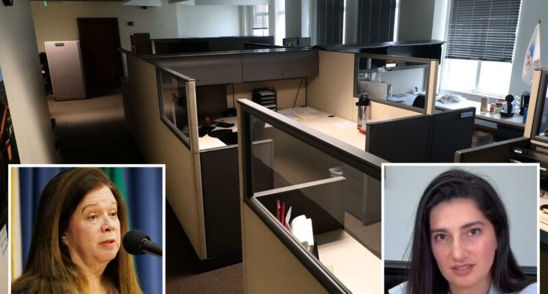 DSA-backed city attorney challenger Marissa Roy pushes two-day-a-month office rule