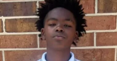 Dad and son died in burning Tesla 'after door handles failed'