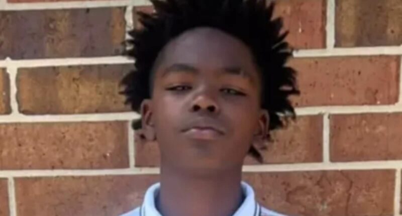 Dad and son died in burning Tesla 'after door handles failed'