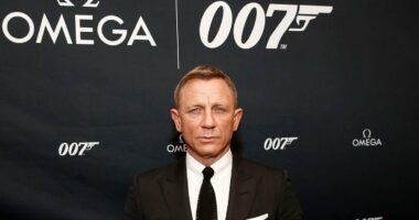 Daniel Craig Earned An Absolute Fortune Playing James Bond… But It Actually Isn't Even His Most Lucrative Acting Role… | Celebrity Net Worth