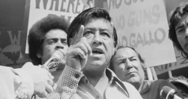 Dartmouth professor's findings led to New York Times investigation into Cesar Chavez