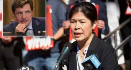 Daughter of brutally killed 'Grandpa Vicha' announces run for San Francisco supervisor
