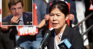 Daughter of brutally killed 'Grandpa Vicha' announces run for San Francisco supervisor